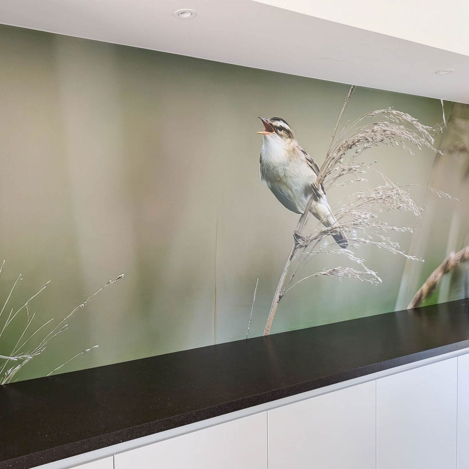 Vinteri naadloos fotobehang vogel natuur min